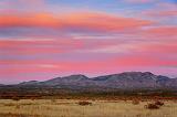 Bosque At Dawn_73401